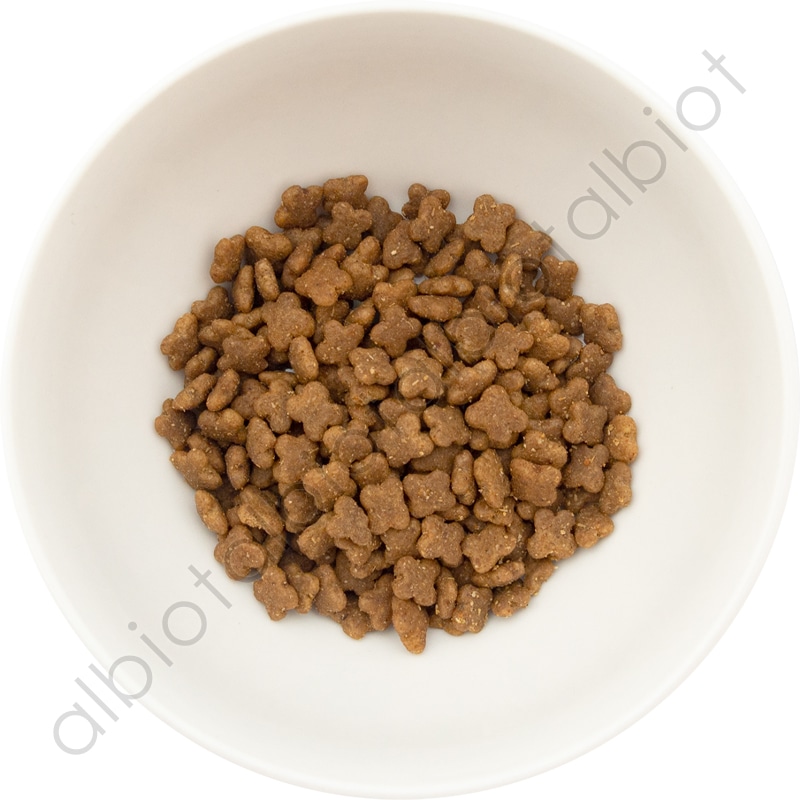 ナウフレッシュ グッドグレービー スモールブリード ゲージフリーチキンレシピ（小粒） [ 30g | 800g | 5.44kg ] ドッグフード