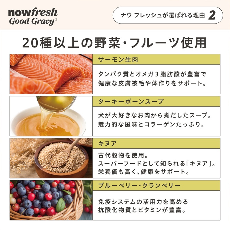 ナウフレッシュ グッドグレービー スモールブリード サーモンレシピ（小粒） [ 30g | 800g | 5.44kg ] ドッグフード