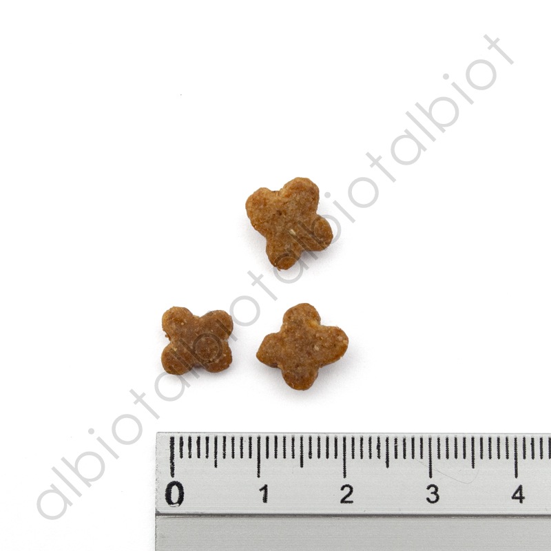 ナウフレッシュ グッドグレービー スモールブリード サーモンレシピ（小粒） [ 30g | 800g | 5.44kg ] ドッグフード