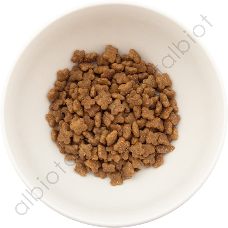 ナウフレッシュ グッドグレービー スモールブリード サーモンレシピ（小粒） [ 30g | 800g | 5.44kg ] ドッグフード