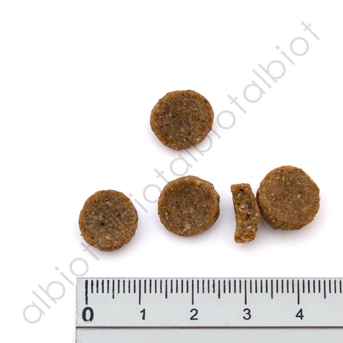 ブラックウッド 5000 ドッグフード