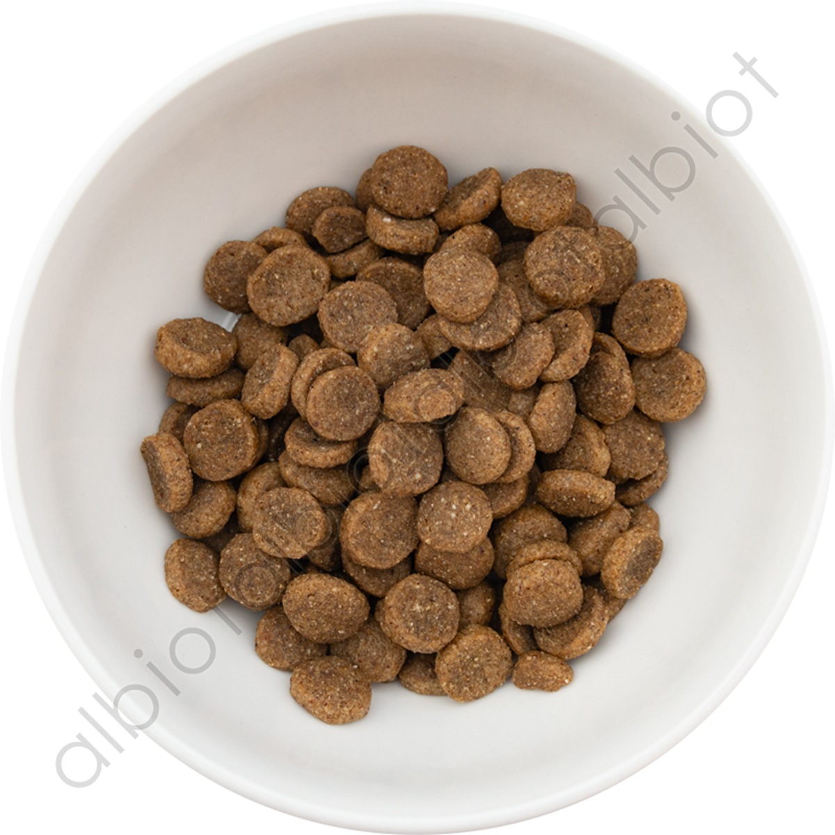 ブラックウッド 5000 ドッグフード