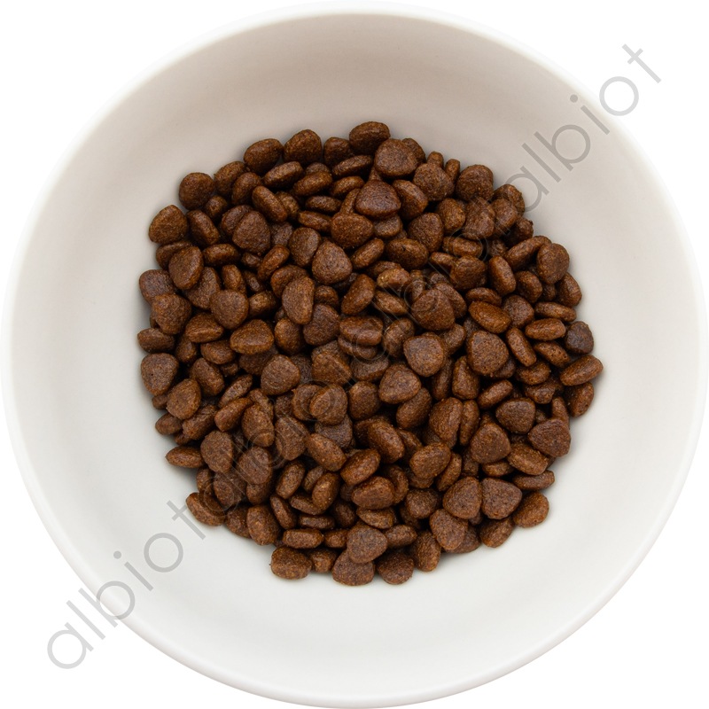 オーダー受付　6犬種Fruity Jar②　ご予約ページ　7/17 オーダー受付 6犬種Fruity Jar② ご予約ページ 7/17