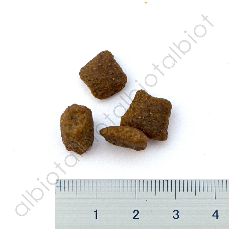 ブラックウッド グレインフリー サーモン 2.27kg