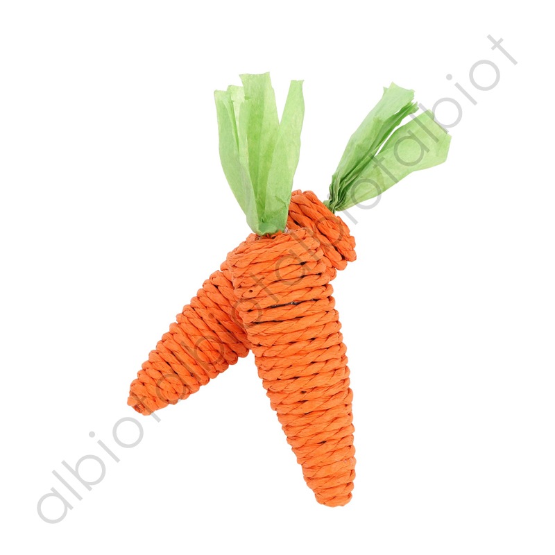 【猫のおもちゃ】 ルークラン ループ ファニーズ キャロット 2個セット