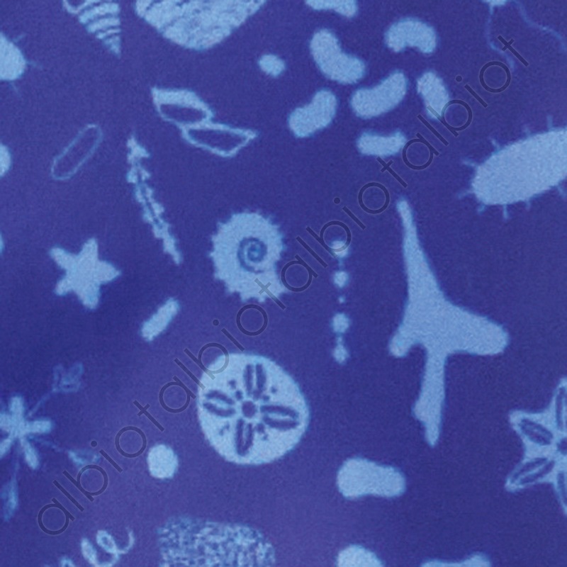 ECO BAG / AQUARIUM エコバッグ [クラゲ|ジンベイザメ|オオサンショウウオ|ラッコ|サケ]