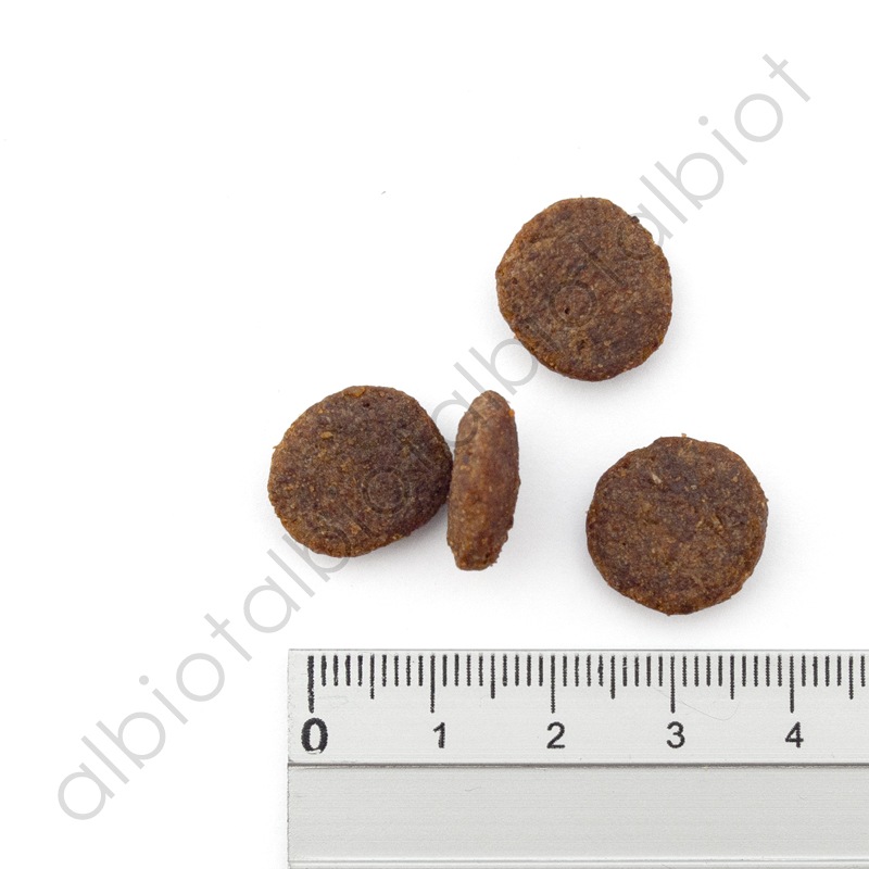 ナチュラルバランス LID サーモン＆スイートポテトレシピ ドッグフード ドライフード （旧スウィートポテト＆フィッシュ）