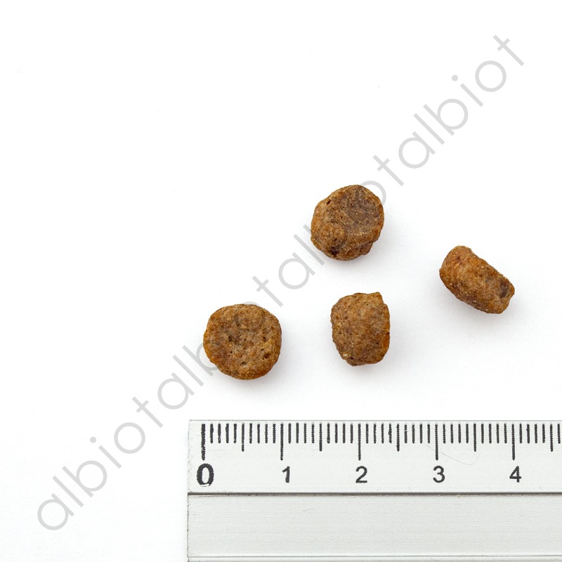 ナチュラルバランス LID サーモン＆スイートポテトレシピ ドッグフード ドライフード （旧スウィートポテト＆フィッシュ）