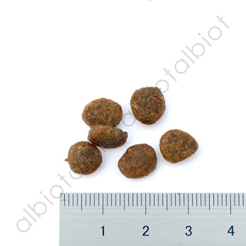 ブラックウッド グレインフリー スモールブリード 2.27kg