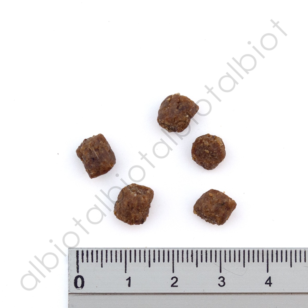 ブラックウッド パピー ドッグフード