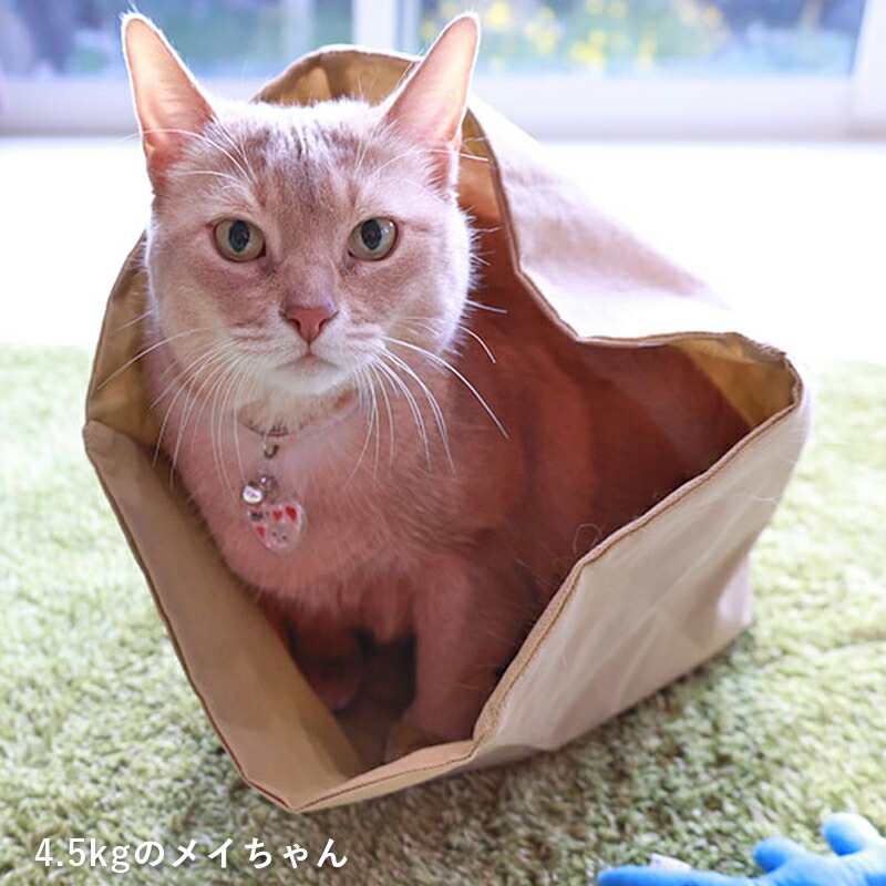 おもちゃ もぐれるベーカリー袋（カシャカシャ入り）