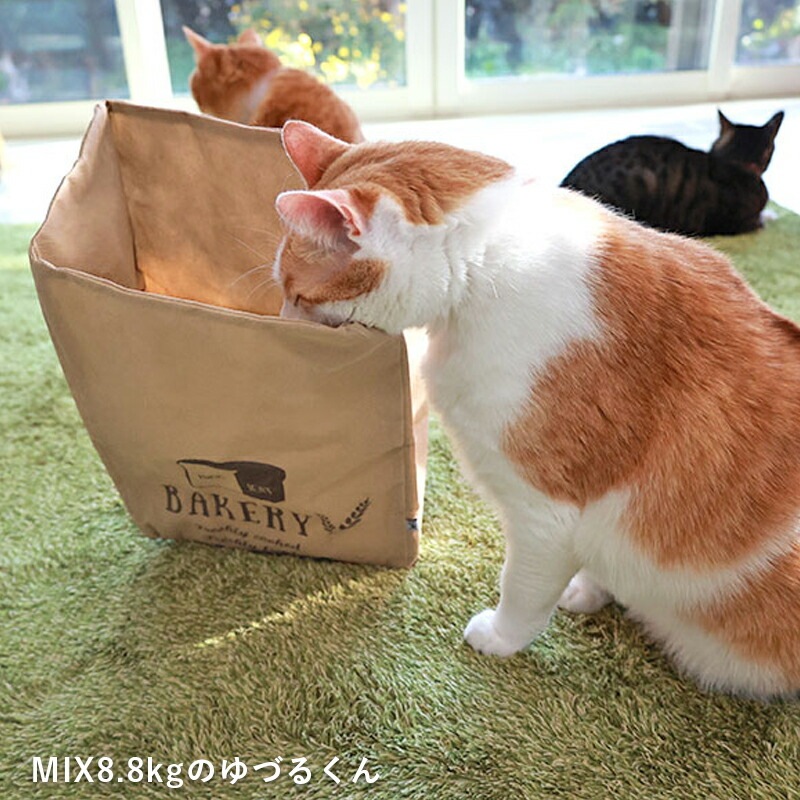 おもちゃ もぐれるベーカリー袋（カシャカシャ入り）