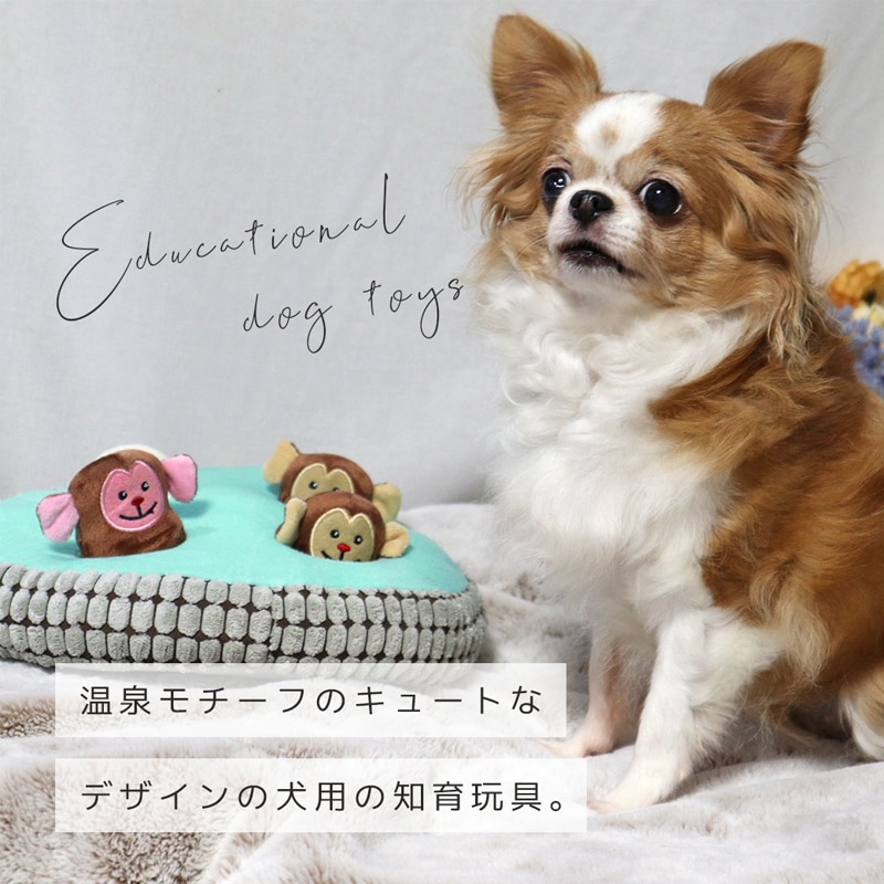 【犬のおもちゃ】iDog 知育おもちゃ 温泉おさる (16984)