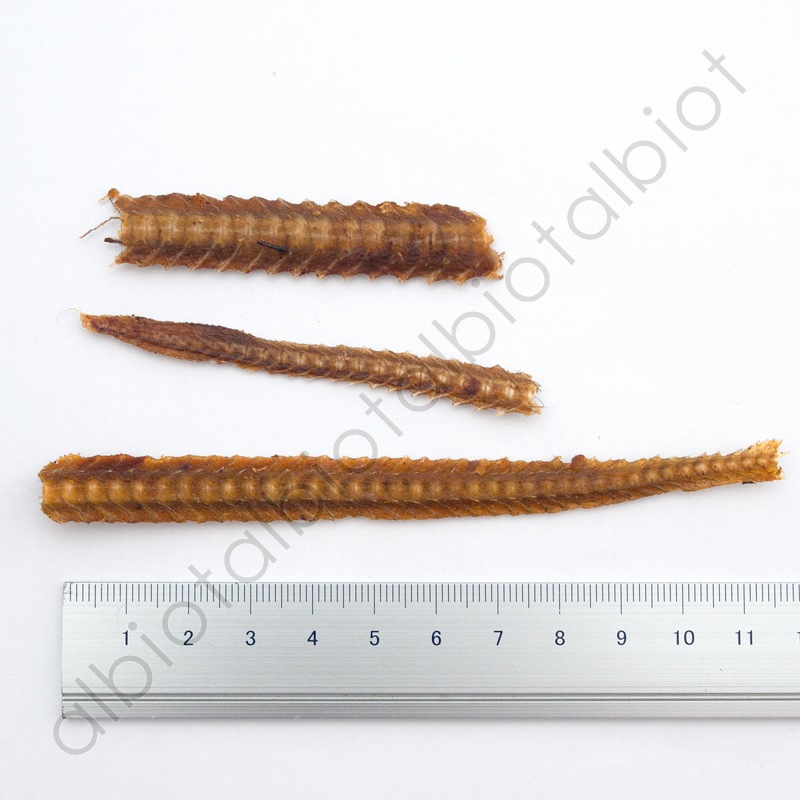 DELI デリ うなぎボーン（ハーフ）60g