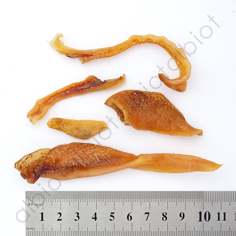 DELI デリ 豚耳の細切り 50g