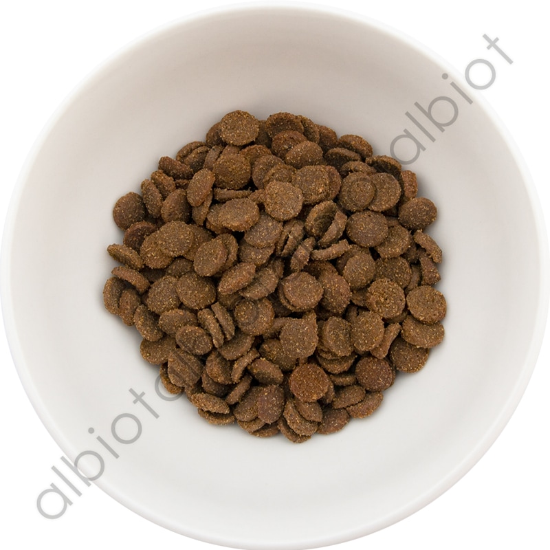 ニュートライプ CAT オーストラリアンサーモン＆ホルモンフリーチキンwithグリーントライプ 1kg （200g×5袋）