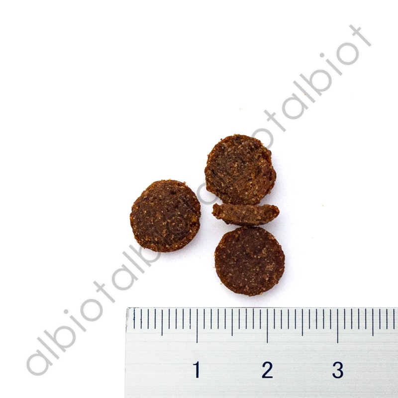 ニュートライプ CAT オーストラリアンサーモン＆ホルモンフリーチキンwithグリーントライプ 1kg （200g×5袋）