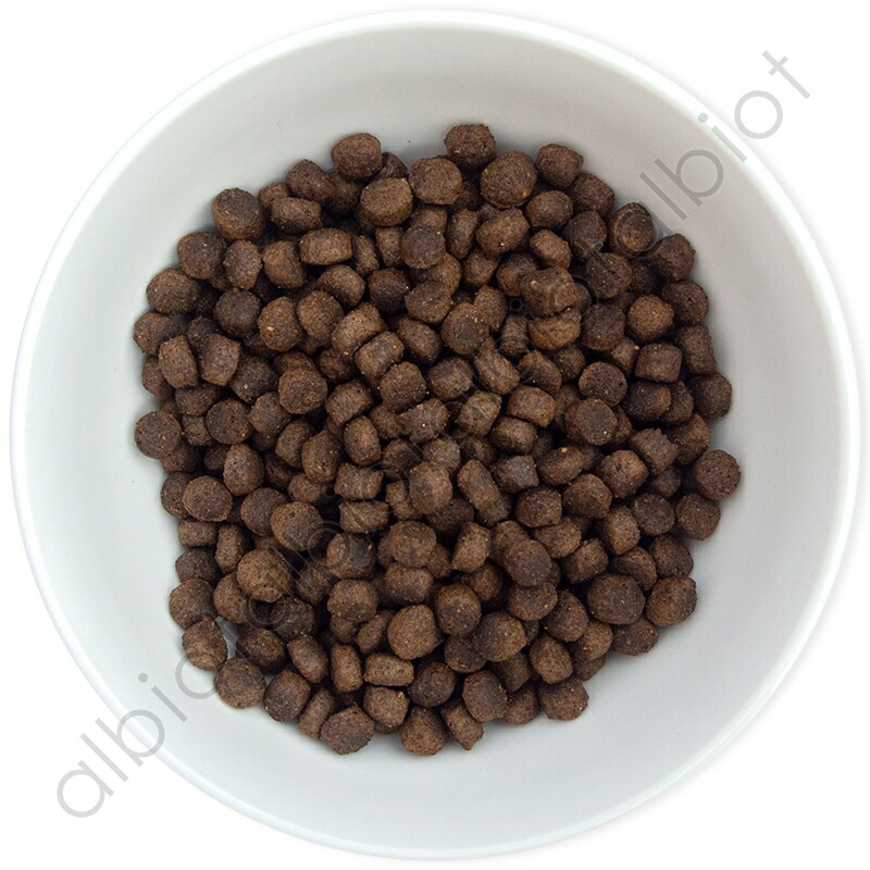 フィッシュ4ドッグ サーディン