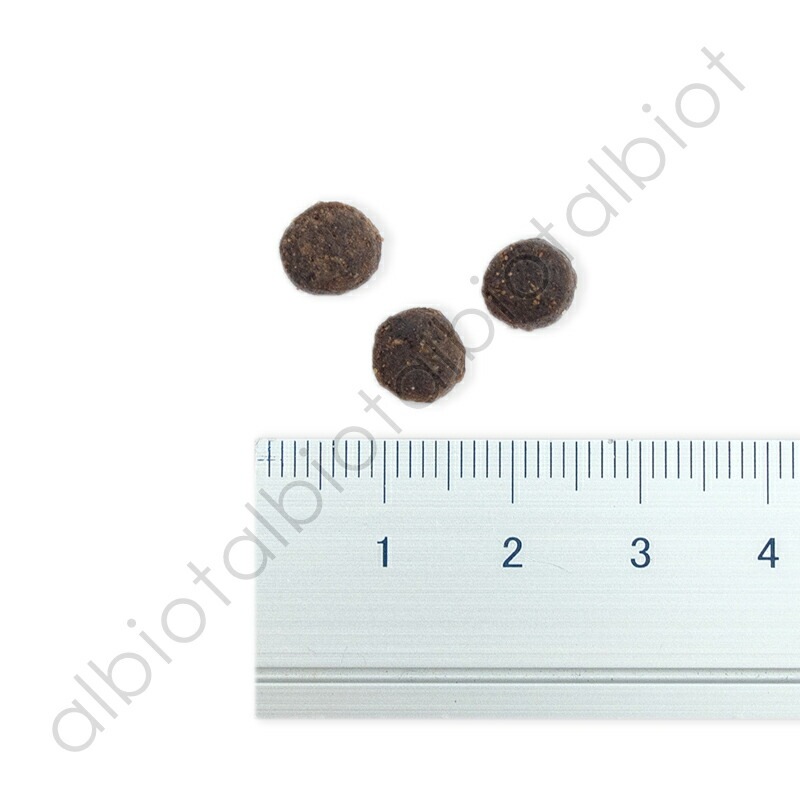 フィッシュ4ドッグ サーディン