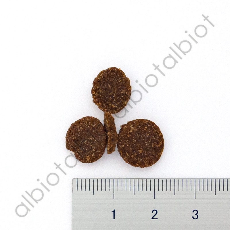 ニュートライプ CAT オーストラリアンビーフ＆ホルモンフリーチキンwithグリーントライプ 1kg （200g×5袋）