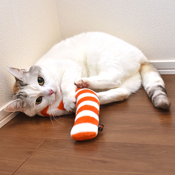 おもちゃ ケリケリチンアナゴ (ボーダー/ドット)