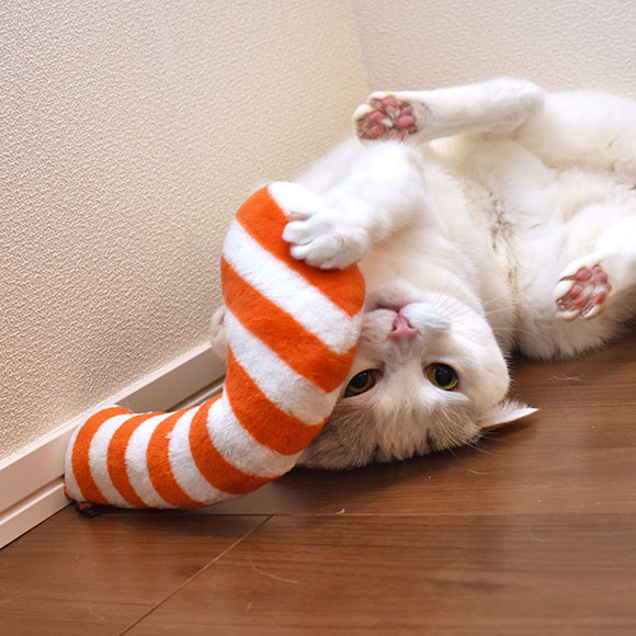 おもちゃ ケリケリチンアナゴ (ボーダー/ドット)