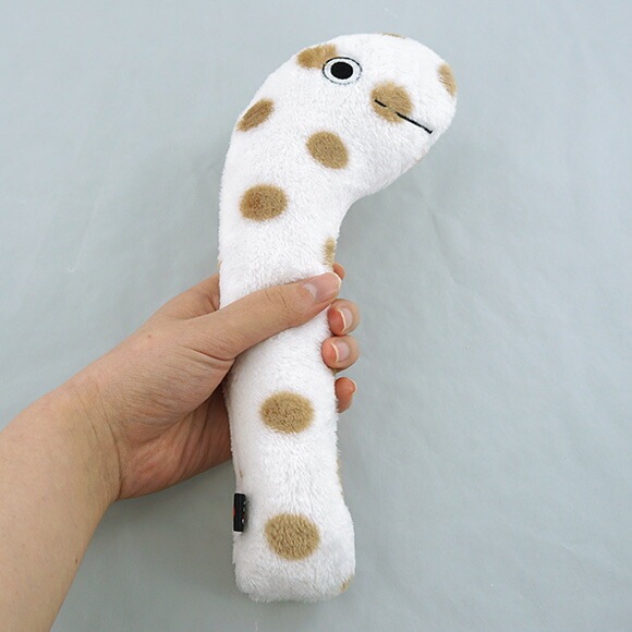 おもちゃ ケリケリチンアナゴ (ボーダー/ドット)