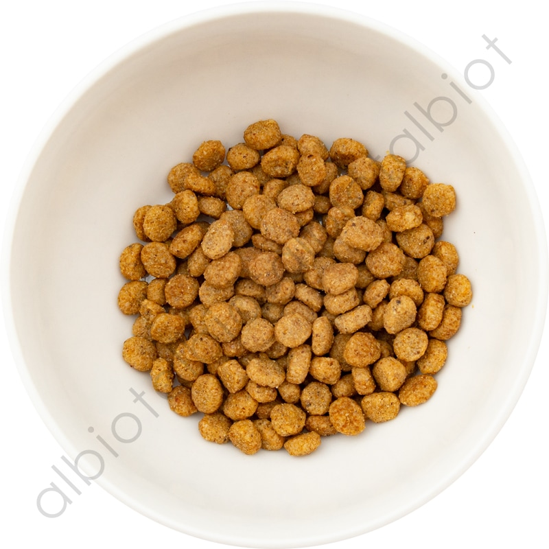 ナチュラルバランス LID ベジタリアンレシピ 小粒 ドッグフード ドライフード(旧ベジタリアン)