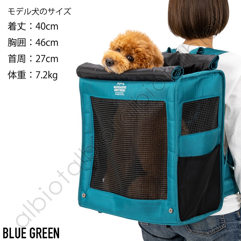 【マンダリンブラザーズ】BRIXTON CARRY BACKPACK | ブリクストン キャリーバックパック