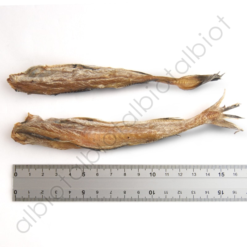 DELI デリ 姫たらの姿干し 40g