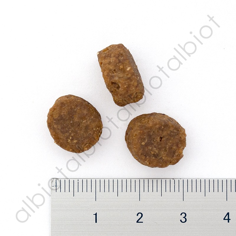 GO! ソリューションズ カーニボア シニア チキンターキー＋ダック 800g シニア犬用 ドッグフード