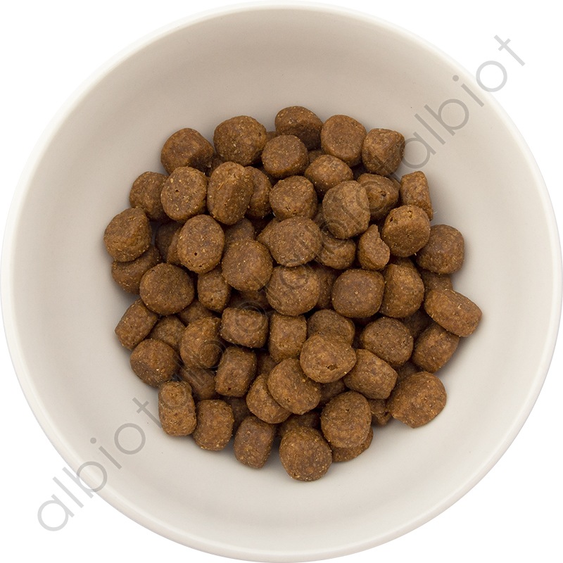 GO! ソリューションズ カーニボア シニア チキンターキー＋ダック 800g シニア犬用 ドッグフード