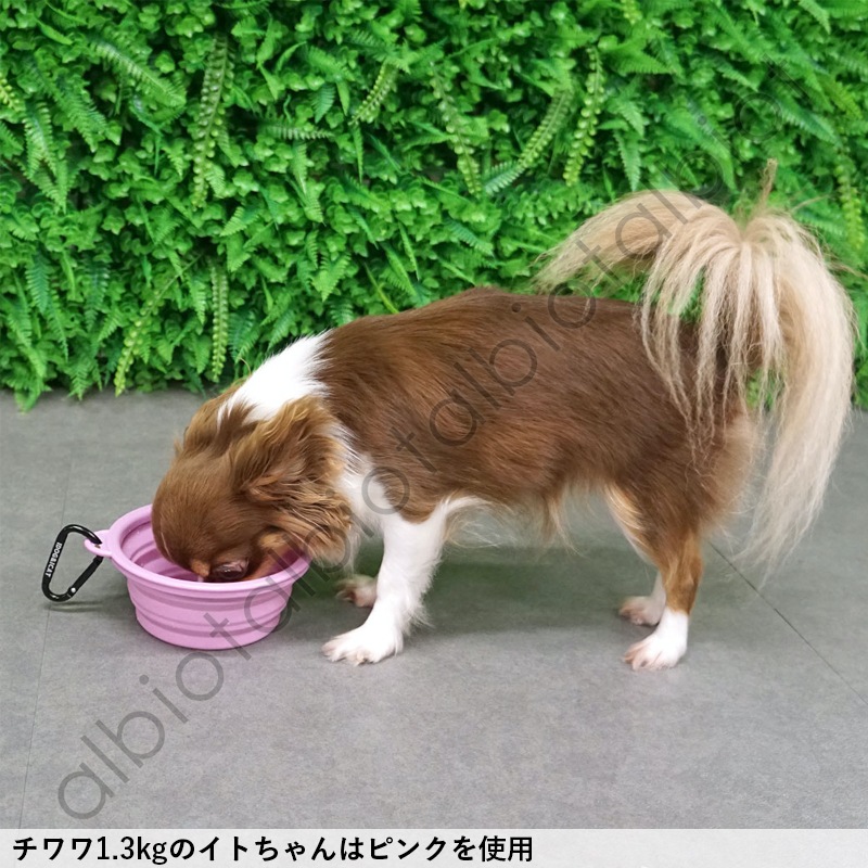 折り畳みシリコンフードボウル / Sikicone collapsible pet bowl
