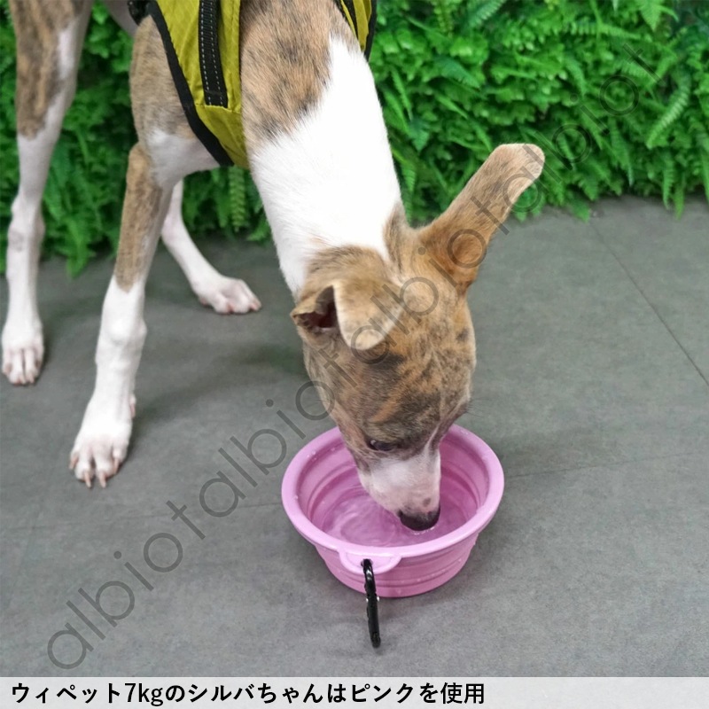 折り畳みシリコンフードボウル / Sikicone collapsible pet bowl