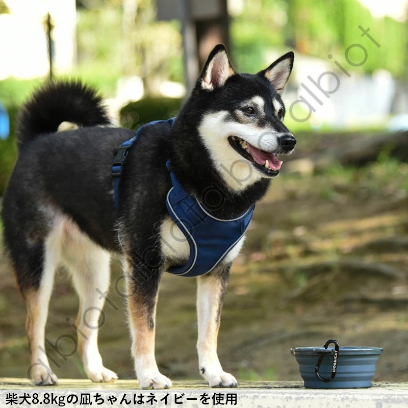 折り畳みシリコンフードボウル / Sikicone collapsible pet bowl