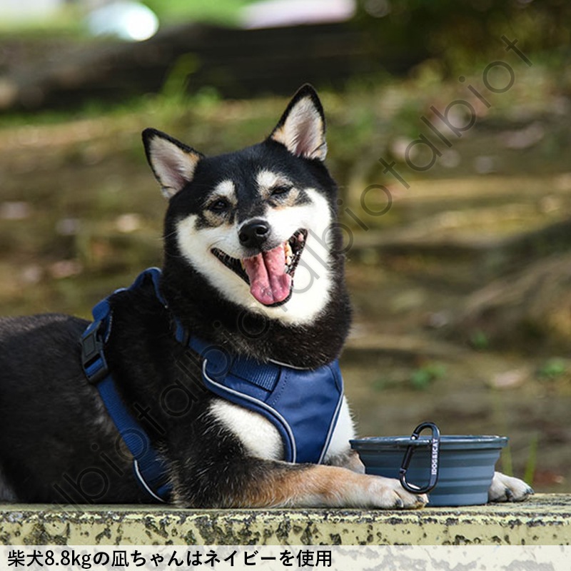 折り畳みシリコンフードボウル / Sikicone collapsible pet bowl