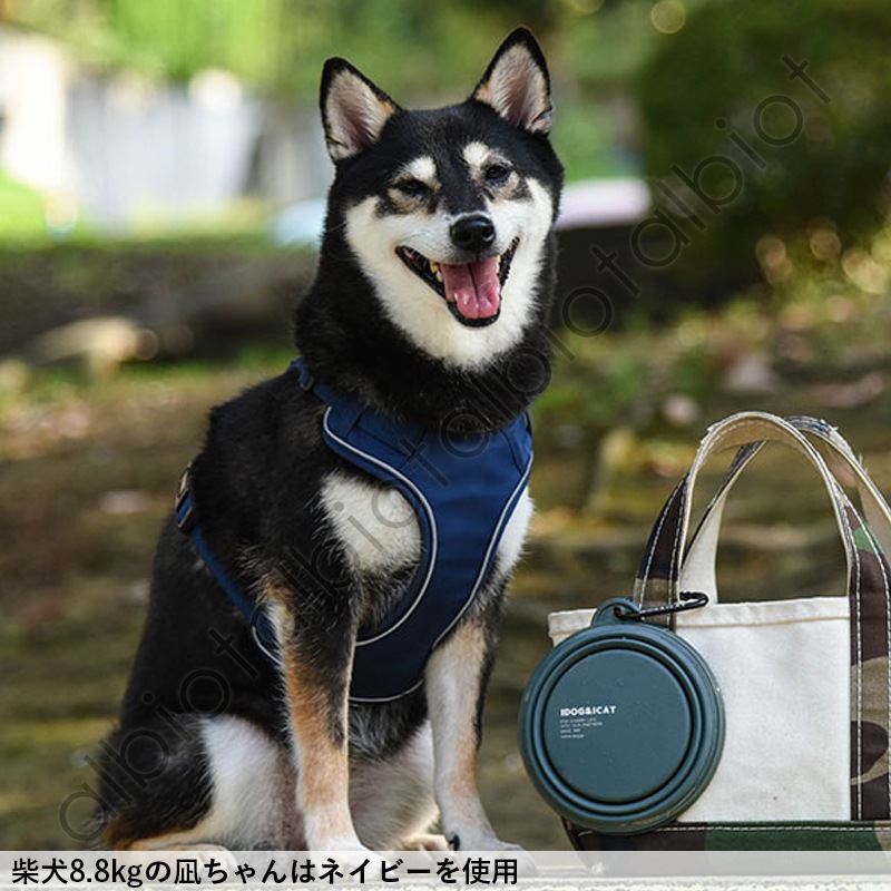 折り畳みシリコンフードボウル / Sikicone collapsible pet bowl