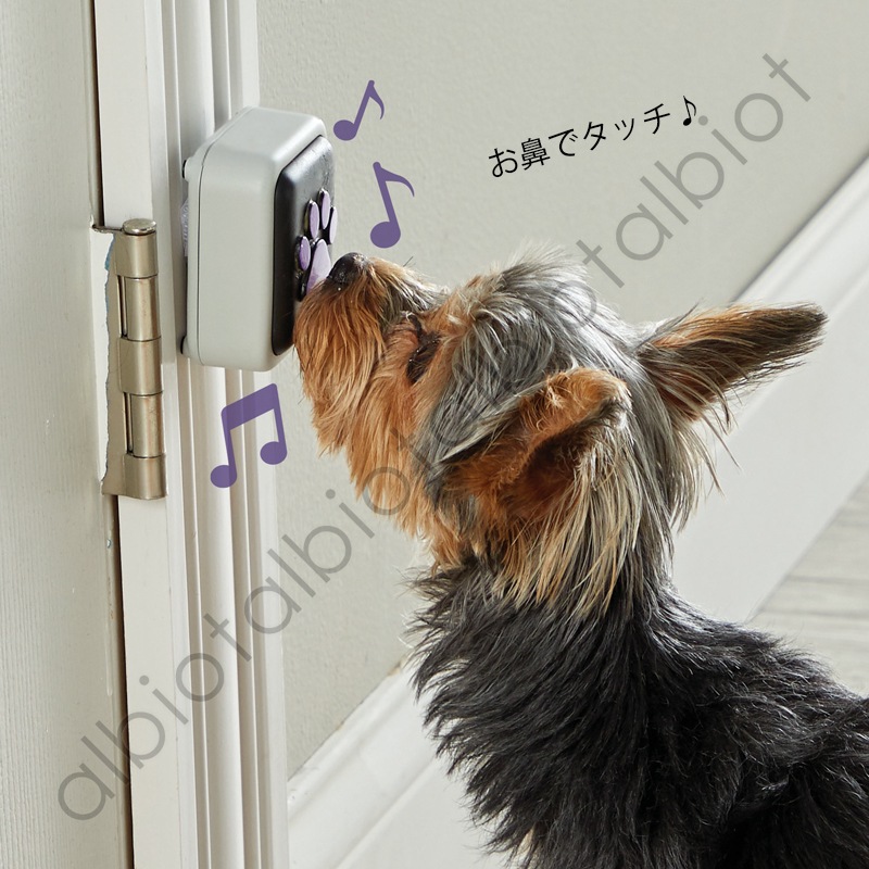 Hunger for Words ハンガーフォーワーズ トーキングペット おしゃべり