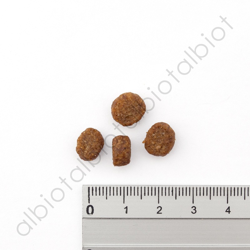 ナチュラルバランス オリジナルウルトラ 猫用 チキン&サーモンレシピ [全年齢用] キャットフード ドライフード（旧ホールボディヘルス キャットフード）