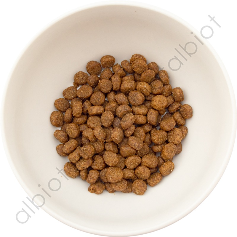 ナチュラルバランス オリジナルウルトラ 猫用 チキン&サーモンレシピ [全年齢用] キャットフード ドライフード（旧ホールボディヘルス キャットフード）