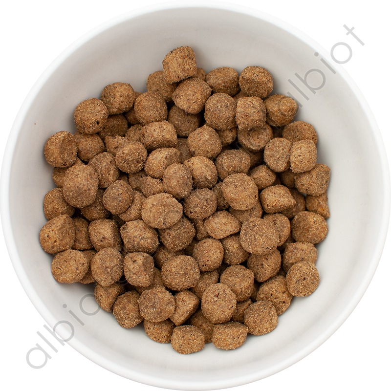 ナウフレッシュ グレインフリー アダルト 5.44kg レギュラー粒 ドッグフード