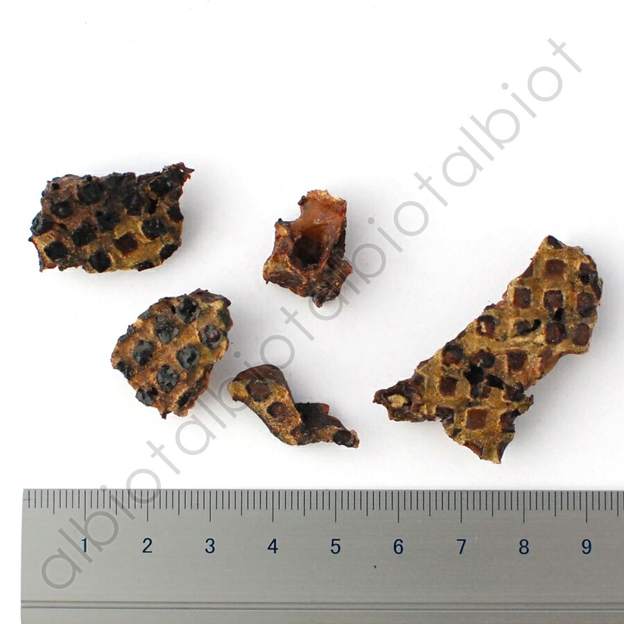 ナチュラルハーベスト カントリーロード プチラムラング 25g