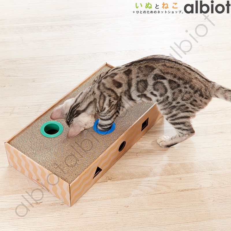 ニャンコロビー [ボックスタイプ]