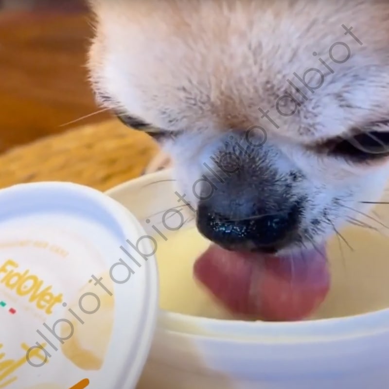 フィドベット ヨーグルト 25g