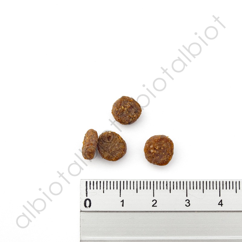 ナチュラルバランス オリジナルウルトラ 猫用 鶏肉&サーモンレシピ［室内猫用］インドアキャット キャットフード ドライフード（旧インドアキャット）