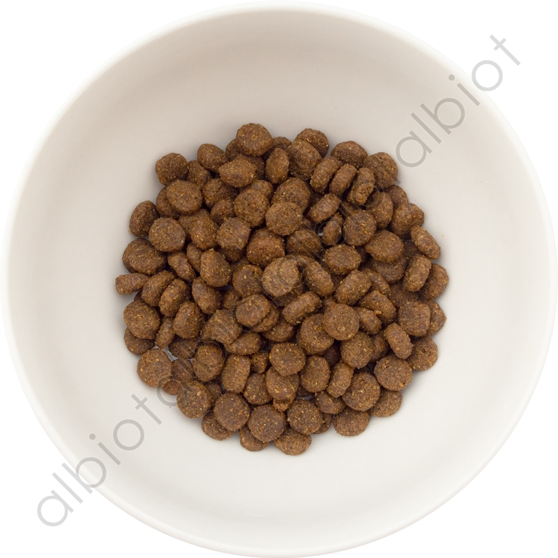 ナチュラルバランス オリジナルウルトラ 猫用 鶏肉&サーモンレシピ［室内猫用］インドアキャット キャットフード ドライフード（旧インドアキャット）