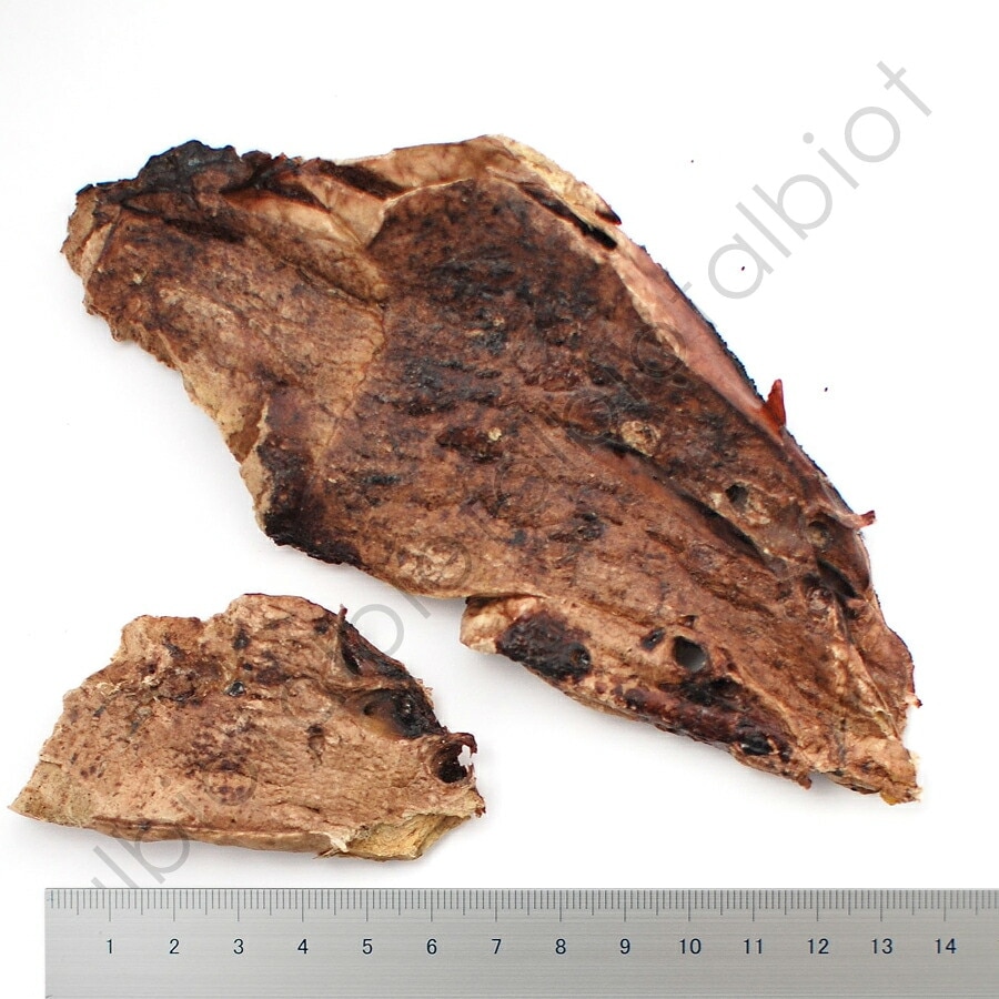 ナチュラルハーベスト スライスラムラング 80g