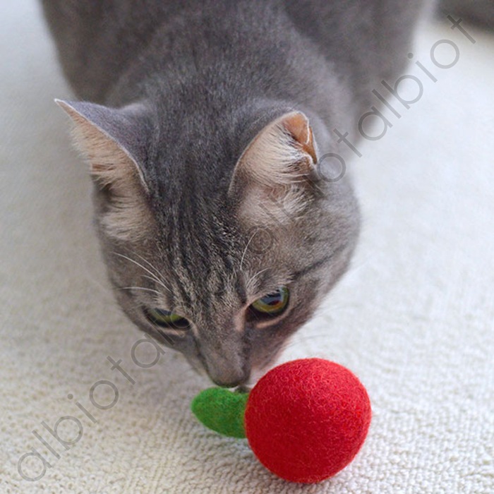 おもちゃ コロコロフェルトトイ りんご (TY-148)