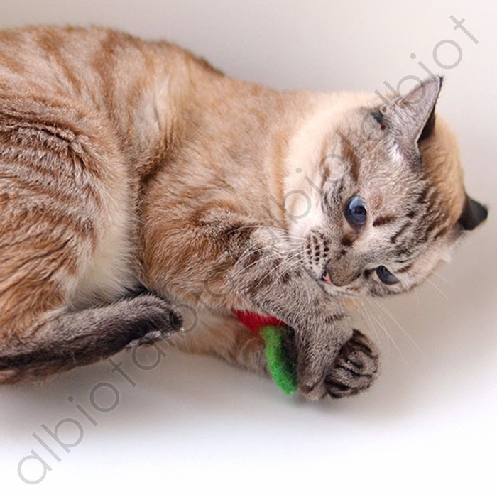 おもちゃ コロコロフェルトトイ りんご (TY-148)