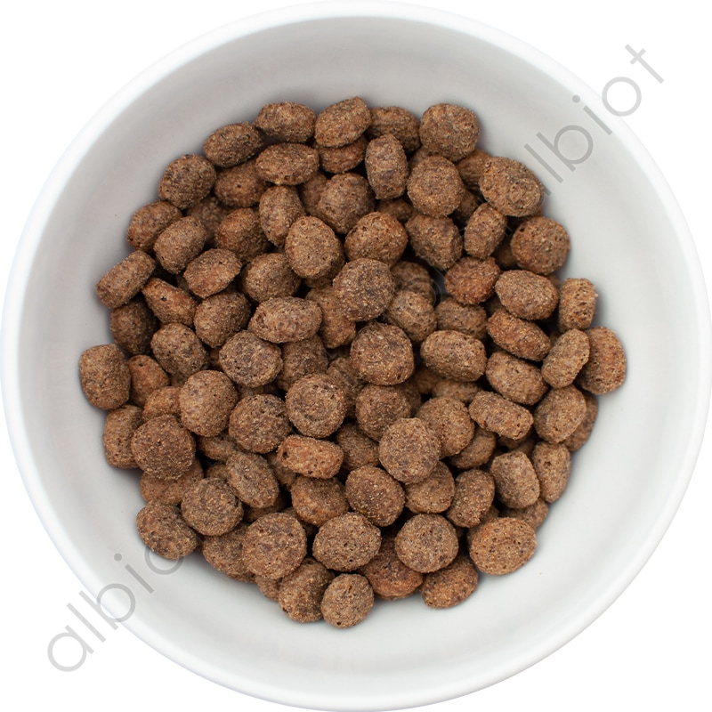 ナウフレッシュ グレインフリー シニア＆ウェイトマネジメント 2.72kg レギュラー粒 ドッグフード